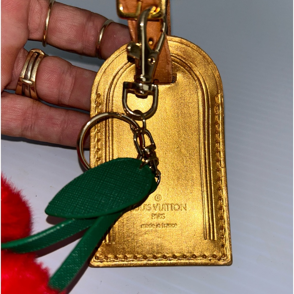 Hand painted Louis Vuitton luggage tag with keychain hardware applied